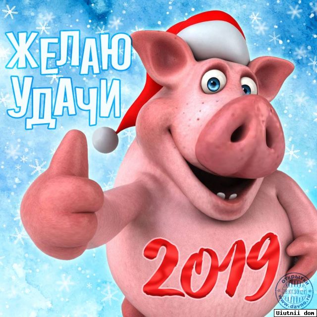 Новый Год 2009 Москва Новый Год 2009 Москва